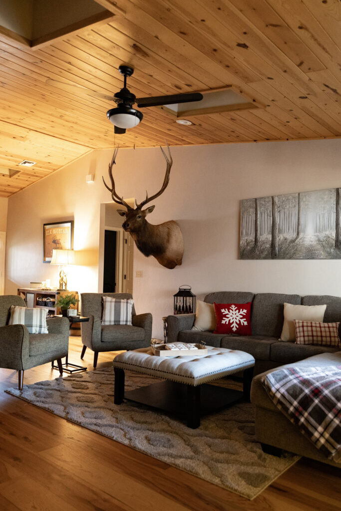 Pinetop Cabin Rental Living Room