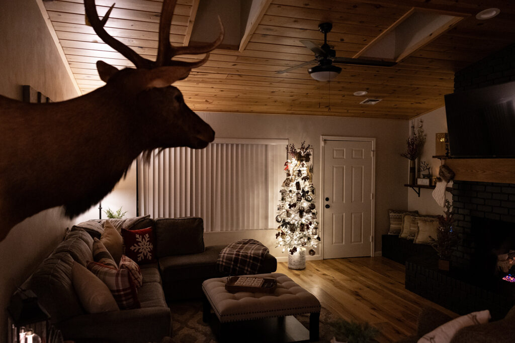 Pinetop Cabin Rental Living Room